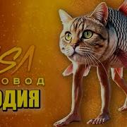 Песня Клип Трулимеро Труличина Мем Rasa Пчеловод Пародия Trulimero Trulichina Трулимеро Труличина Мем Песня