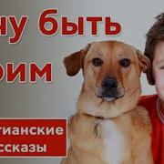 Хочу Быть Твоим Рассказ