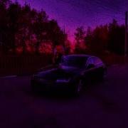 Ты Похож На Кота Sg17 06