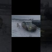Помой Меня Я Вся Чешусь