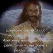 Мой Сын Моя Жизнь