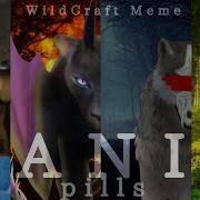 Wildcraft Panic Meme Original Version