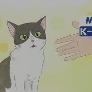 M V Moha 모하 Don T Forsake Me 나를 버리지 말아요