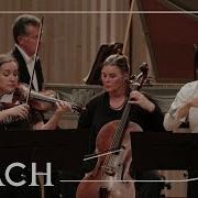 Concerto For Two Violins In D Minor Bwv 1043 Allegro
