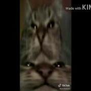 Кит Ты Маму Мав Ремикс Speed Up