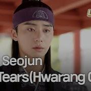 Park Seo Joon Our Tears