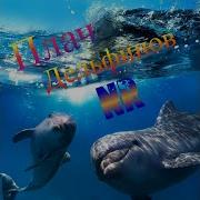 Плачь Дельфинов