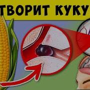 Если Мужик Не Может Кукуруза Всегда Поможет