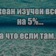 Океан Изучен На 5 Процентов Песня