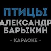 Александр Барыкин Птицы Минус