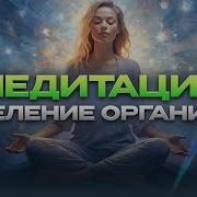 Нейромедитации Алексея Ситникова