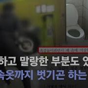 초모 고양이자세