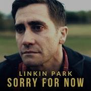 Linkin Park Sorry For Now Remix With Vocals