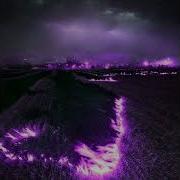 Nightmorss Lastfragment Puple Haze