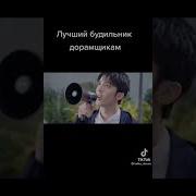Солнце Светит Негры Пашут Дорама