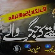 Superhit Nasheed Cheetay Ka Jigar Rakhtay Hain انا ثائرانا ثائر Abdullah Mehboob Official Video