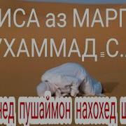 Кисса Аз Марги Пагомбар С А В