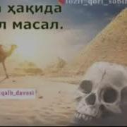 Калла Хакида Фозил Кори