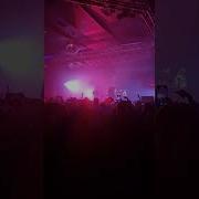 Каспийский Груз Дворовые Киш