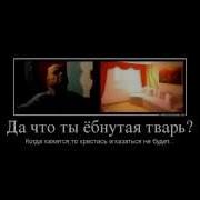 Шизофреники Пытаются Поделать Документы На Квартиру Анусова