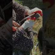 Манарша Хираева Балагьи