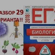 Рохлов 29 Вариант