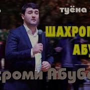 Шаҳроми Абубакр Туёна