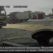 Про Писюна Его Свитер Кошку И Попугая
