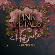 Dj Hugo Pink Petals