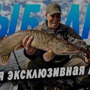 Жрать Жрать Жрать