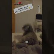 Ты Знаешь Кто Босс