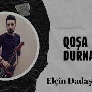 Qosa Durnalar