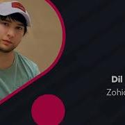Hamasi Yolgon Zohit Muzika