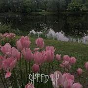 Гера Я Твой Цветочек Speed Up