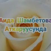 Бар Болгула Аида Шамбетова