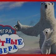 Животные Севера Тест О Животных Севера С Ответами Для Дошкольника