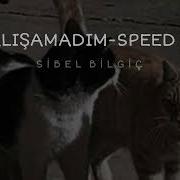 Alışamadım Speed Up