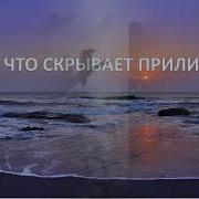 Мелинда Солсбери Что Скрывает Прилив