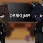 Реакция Зверей На Зайчика