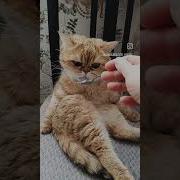 Работать Это Не Мое Вот Жрать Это Да