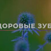 Идеальные Зубы Саблиминал Мощные Аффирмации