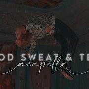 Bts Blood Sweat And Tears Acapella