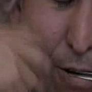 Türkmen National Music Instrument Gopuz