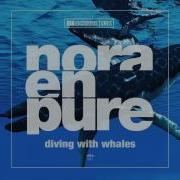 Nora En Pure Diving With Whales