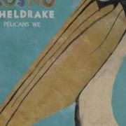 Cosmo Sheldrake Tardigrade Song