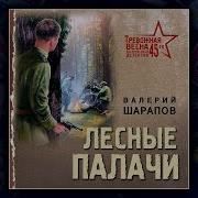 Аудиокнига Валерий Шарапов