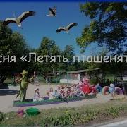 І Летять Пташенята