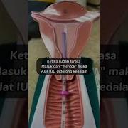 Reaksi Cewek Saat Mencoba Alat Getar Pemuas Diri Test Attachment