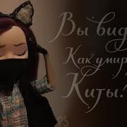 А Вы Знаете Как Умирают Киты