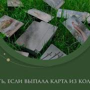 Упала Карта Из Колоды